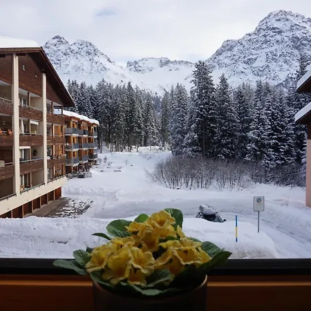 The Window To The Mountains *