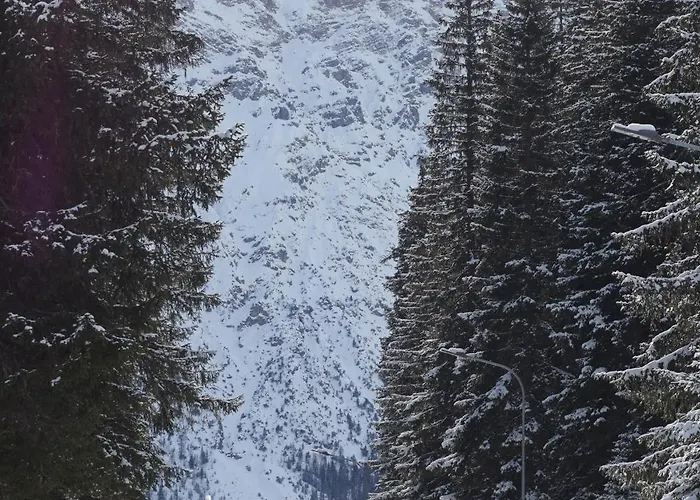 The Window To The Mountains Apartment *